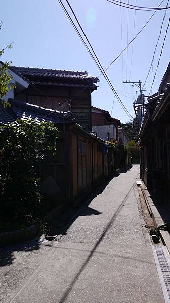 P1030058 P1030058