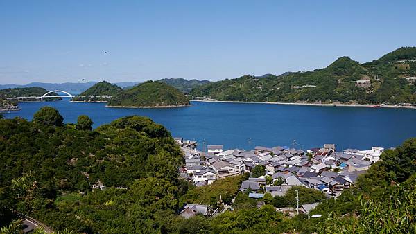P1030166 P1030166