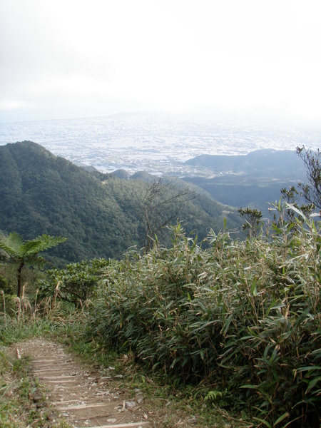 蘭陽平原