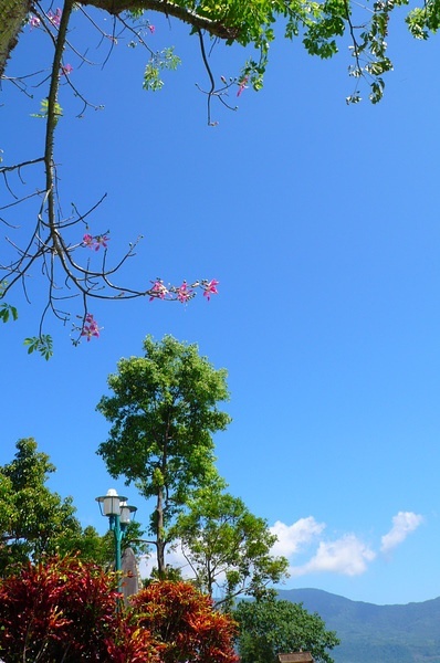 今天爆藍的天空