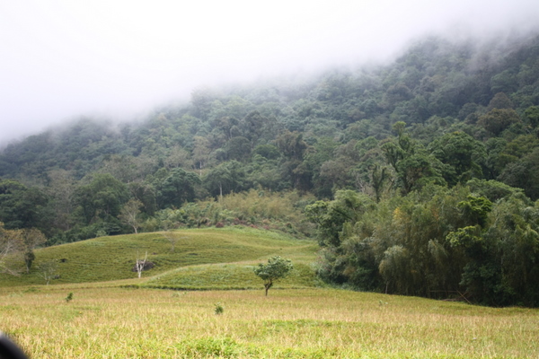 雲霧繚繞的赤柯山