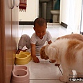 還從地上撿起飼料餵米米