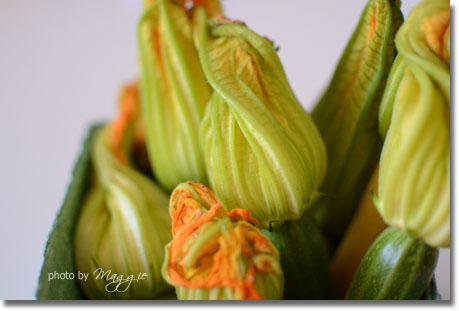 Zucchini Blossoms