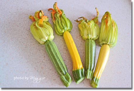 Zucchini Blossoms