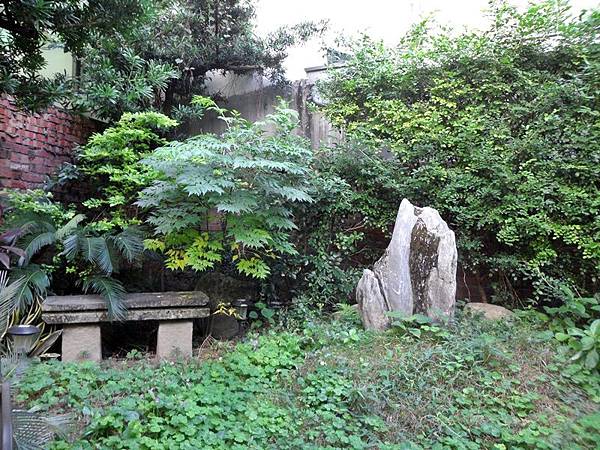 百廢待興的後院2017-01-16-01-18-56-011.jpg 百廢待興的後院2017-01-16-01-18-56-011.jpg