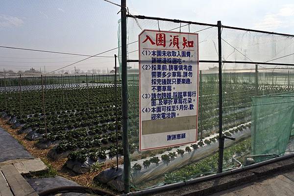 永福草莓園入園須知.JPG