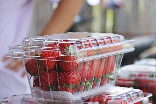 永福草莓園-盒裝草莓.JPG