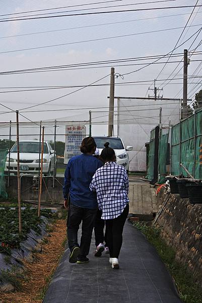 永福草莓園-背影1.JPG