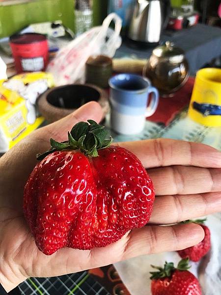 大草莓1.jpg
