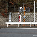6G7A0322.jpg