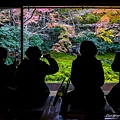 6G7A0461.jpg