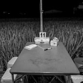 L1010726.jpg