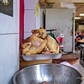 L1030517.jpg