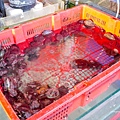batch_L1080784.jpg
