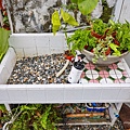 batch_0Z0A9717.jpg