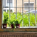 batch_L1090701.jpg