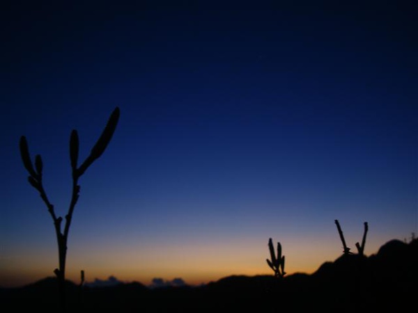 DSC02683.JPG