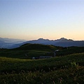 DSC02750.JPG