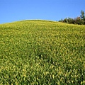 DSC02793.JPG