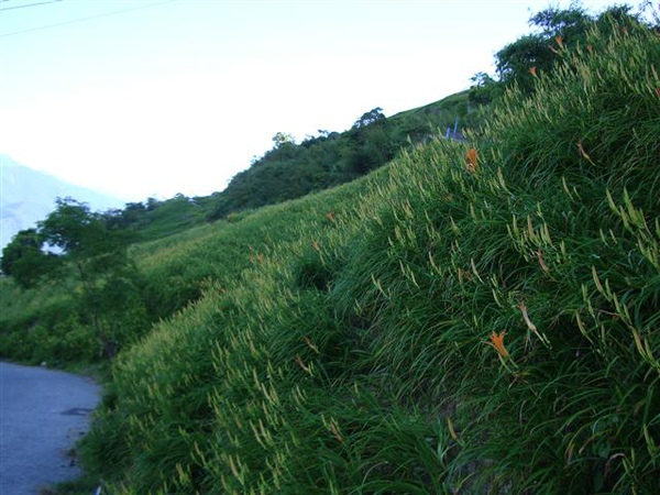 DSC02839.JPG