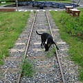 DSC01916.JPG