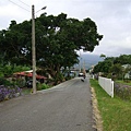 DSC01917.JPG