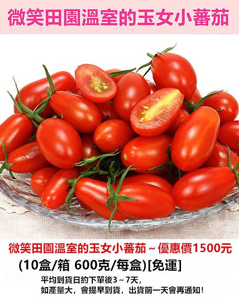 微笑田園溫室的玉女小蕃茄~優惠價1500元 微笑田園溫室的玉女小蕃茄~優惠價1500元