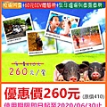 埔心牧場～優惠價260元