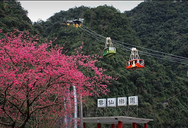 台北烏來雲仙樂園～優惠價190元