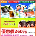 埔心牧場～優惠價260元