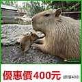 台南頑皮世界野生動物園-優惠價400元