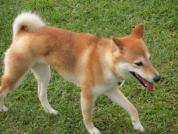DSCN1038.JPG