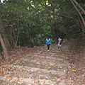 IMG_032從黑門口登城道下山.jpg