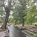 IMG_045上賀茂神社-溪邊.jpg