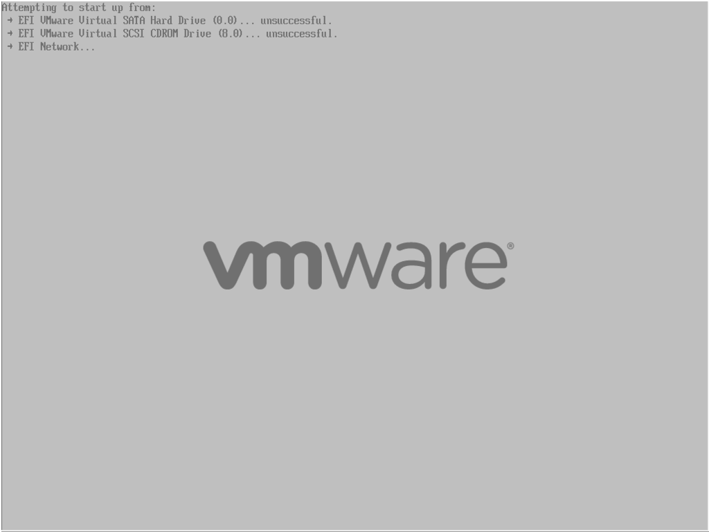 VMware BIOS Boot Sequence VMware BIOS Boot Sequence