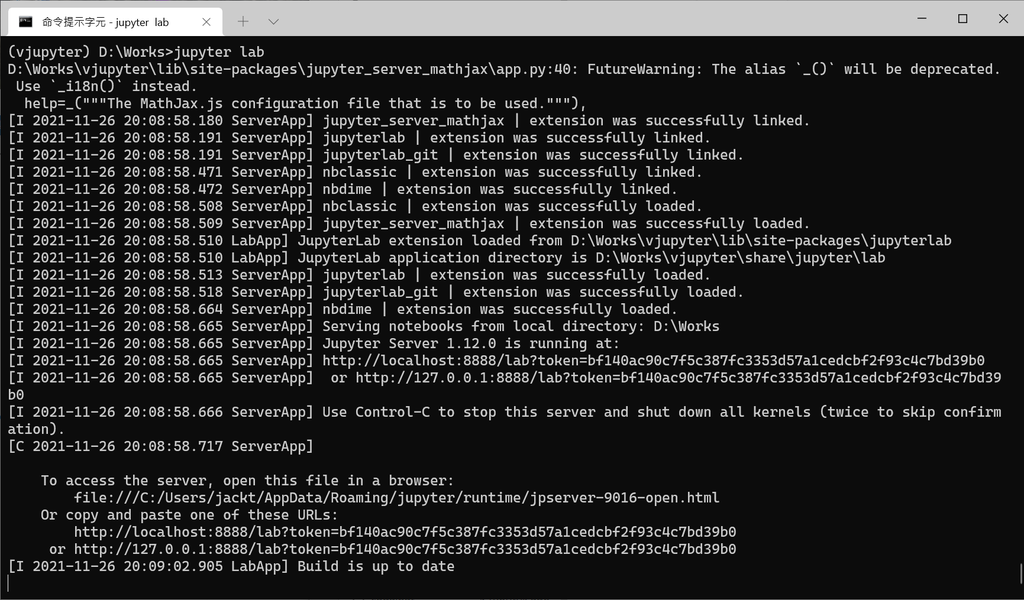 Jupyterlab Start Up cmd screen