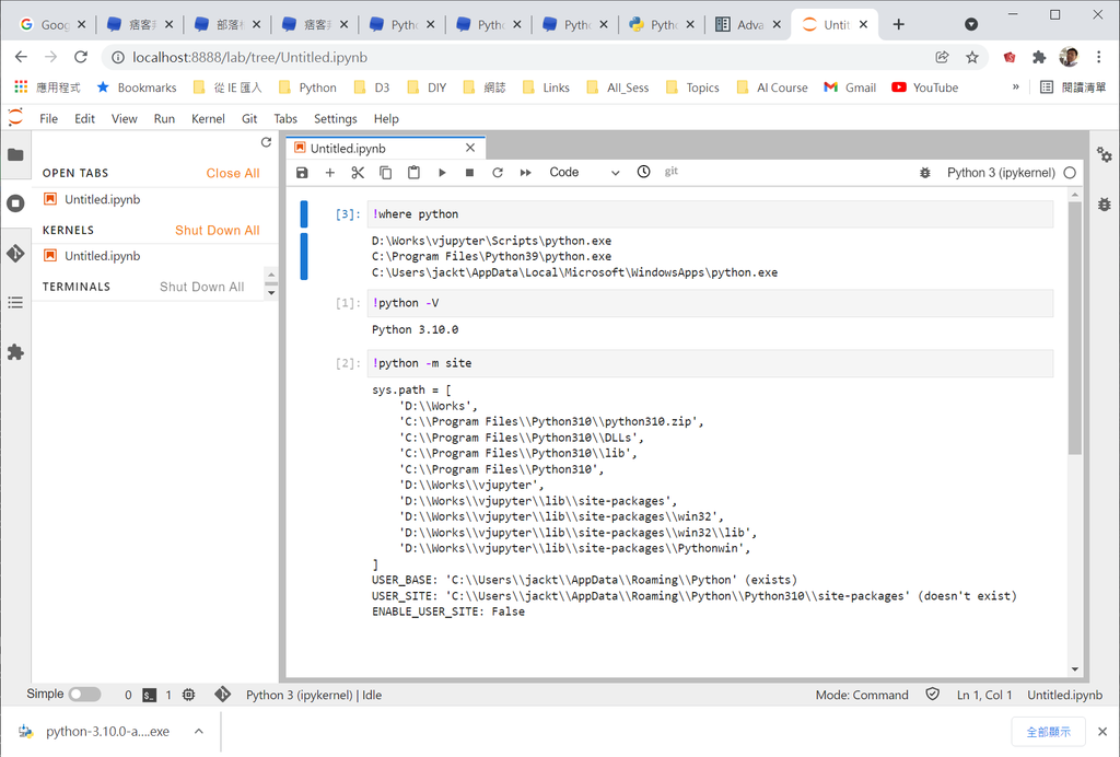 Check Python in Jupyter Env.