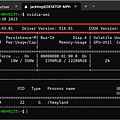 WSL distro nvidia-smi