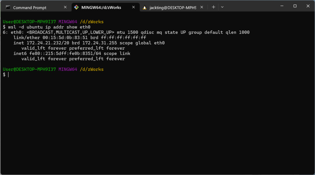 查詢 Linux distro 的 ip address