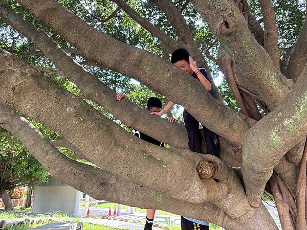 2025八月主題班蛋願你來玩營隊紀錄