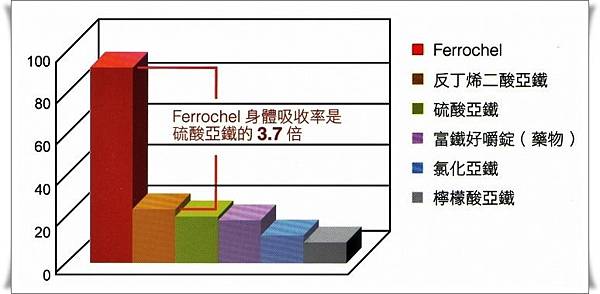 2月紅07.jpg