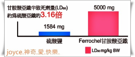 2月紅11.jpg