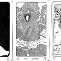 The New Amazon Tarot