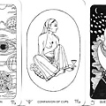 The New Amazon Tarot