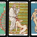 The Erotic Tarot of The Garden of Penises