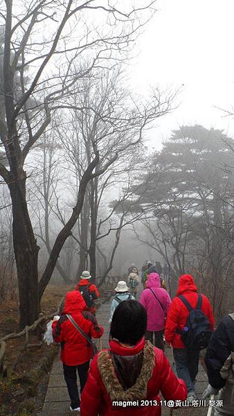 11/14 黃山 後山