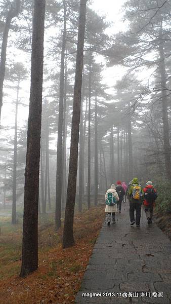 11/14 黃山 後山