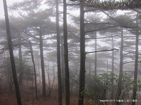 11/14 黃山 西海大峽谷