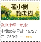 台灣小樹2.jpg 台灣小樹2.jpg