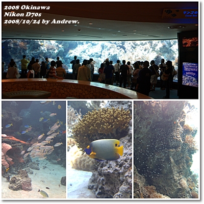 美之海水族館2.jpg 美之海水族館2.jpg